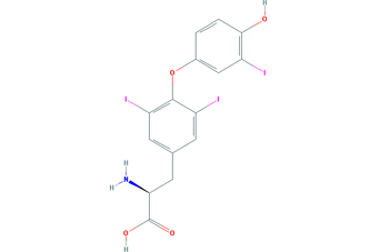T3 (liothyronine) T3 (liothyronine)