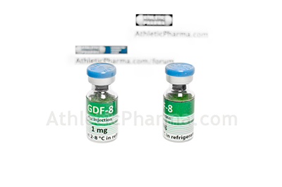GDF-8 GDF-8
