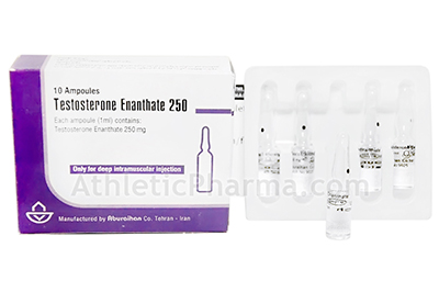 Testosterone Enanthate (Иран) 1ml Testosterone Enanthate (Иран) 1ml