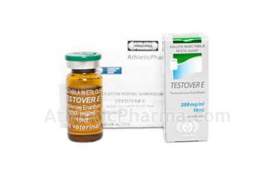 Testover E Testover E