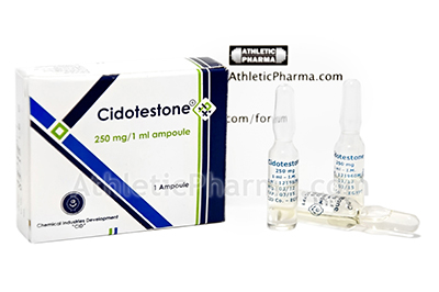 Cidotestone Cidotestone