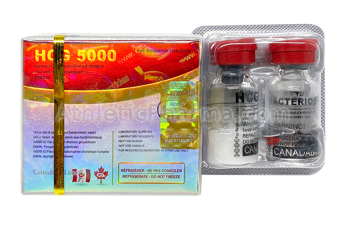 HCG 5000IU (Canada) 1 флакон HCG 5000IU (Canada) 1 флакон