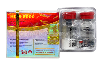 HCG 5000IU (Canada) 1 флакон HCG 5000IU (Canada) 1 флакон