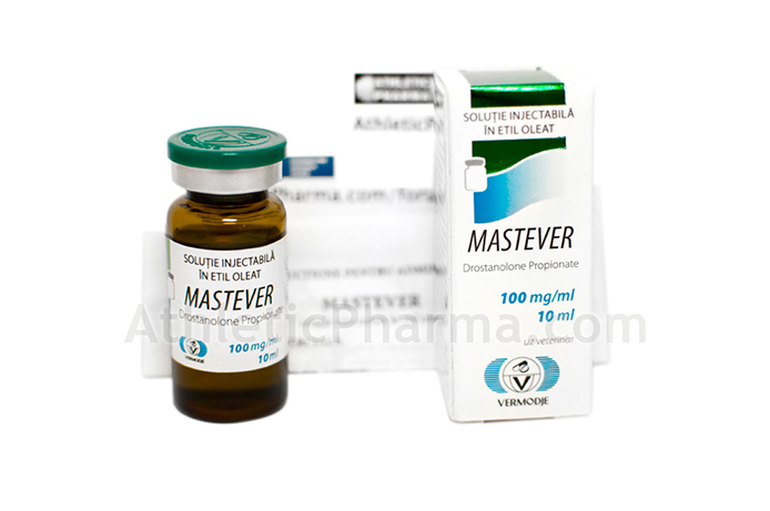Mastever Mastever