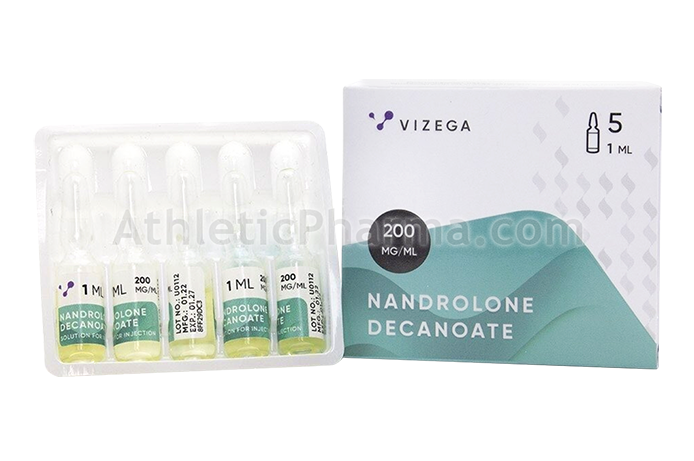 Nandrolone Decanoate (Vizega) ампула 1ml Nandrolone Decanoate (Vizega) ампула 1ml