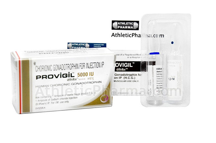 Provigil Provigil