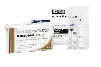 Provigil Provigil