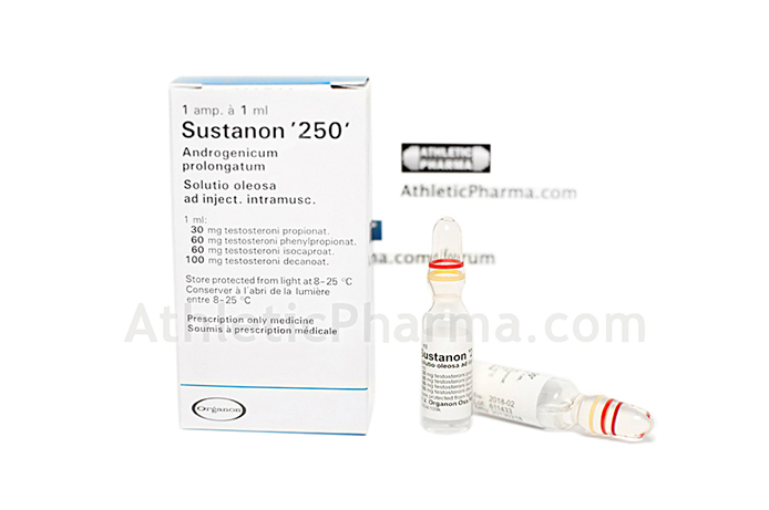 Sustanon 250 (Голландия) 1ml Sustanon 250 (Голландия) 1ml