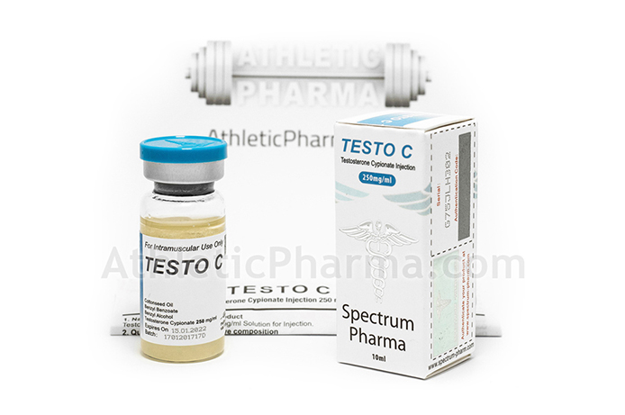 Testo C Testo C