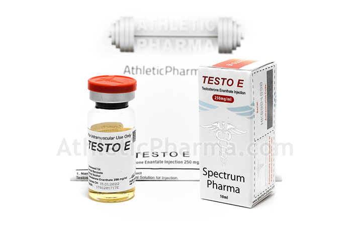 Testo E Testo E
