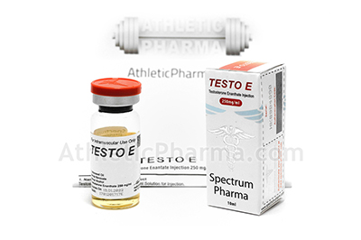 Testo E Testo E