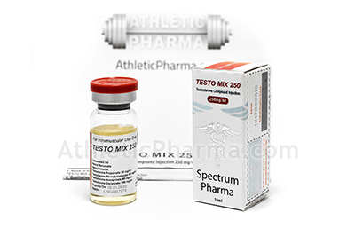 Testo Mix 250 Testo Mix 250