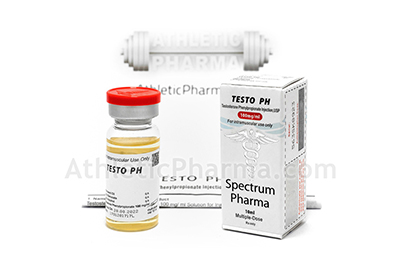 Testo PH Testo PH