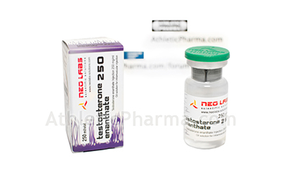 Testosterone Enanthate 250 Testosterone Enanthate 250