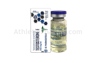 Testosterone E (Ice) 10ml Testosterone E (Ice) 10ml