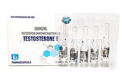 Testosterone E (Ice) ампула 1ml Testosterone E (Ice) ампула 1ml