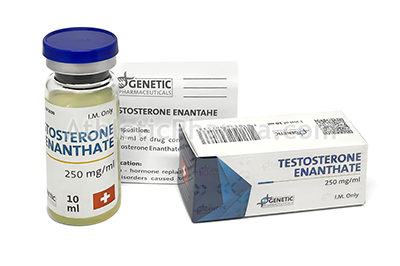 Testosterone Enanthate (Genetic) 10ml Testosterone Enanthate (Genetic) 10ml